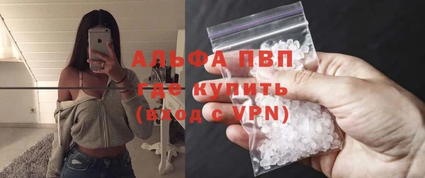 прущие грибы Карталы