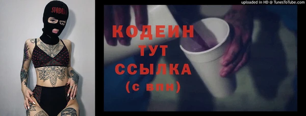прущие грибы Карталы