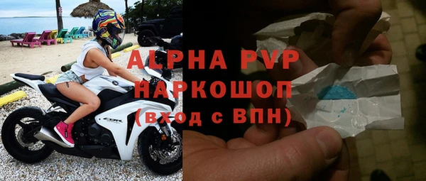прущие грибы Карталы
