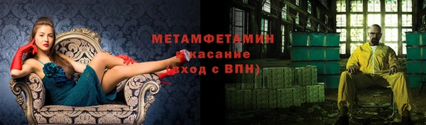 прущие грибы Карталы