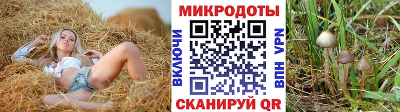 Галлюциногенные грибы GOLDEN TEACHER  Покачи 